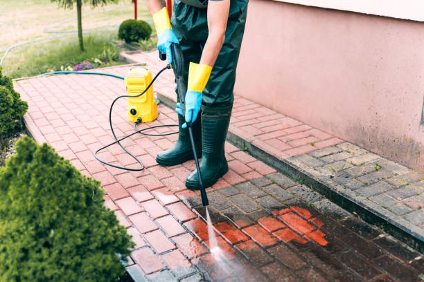 Best Patio and Deck Pressure Washing  in Lake Linden, MI